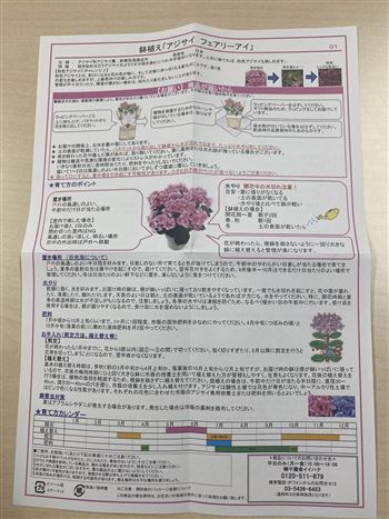 失敗しない母の日ギフト.イイハナドットコム,e87.com